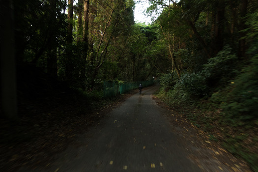 DSC05586