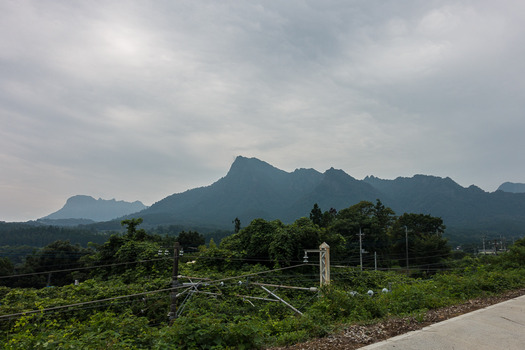 DSC02289