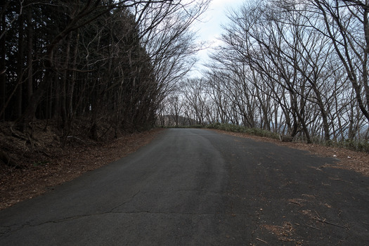 DSC08515