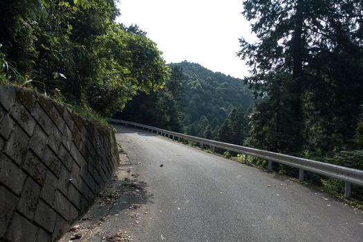 DSC03019