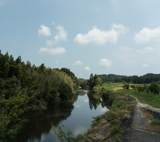 DSC05226