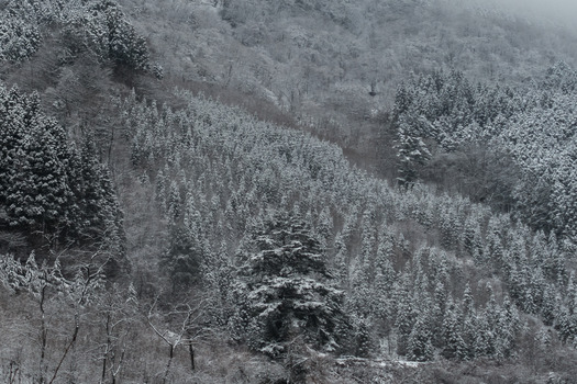 DSC01969