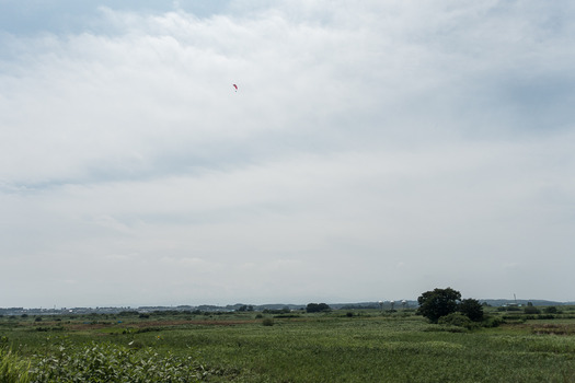 DSC02121