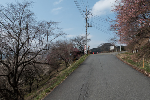DSC08467 (1)