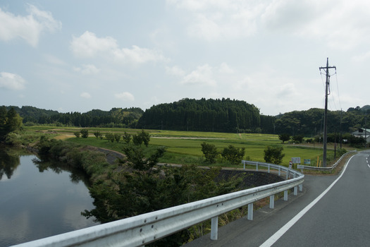 DSC05225