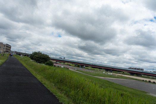 DSC08487 (1)