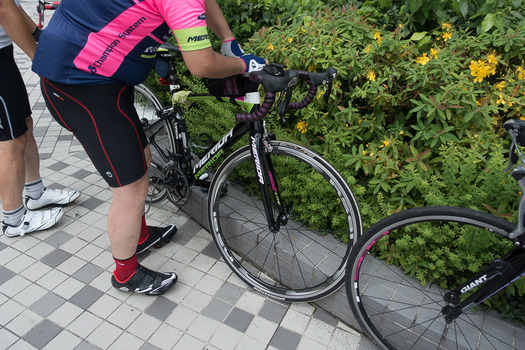 DSC08462 (1)