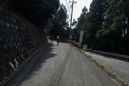 DSC08455 (1)