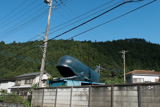 DSC04002