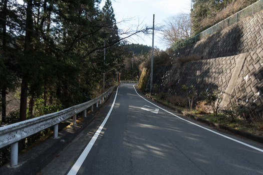 DSC09235