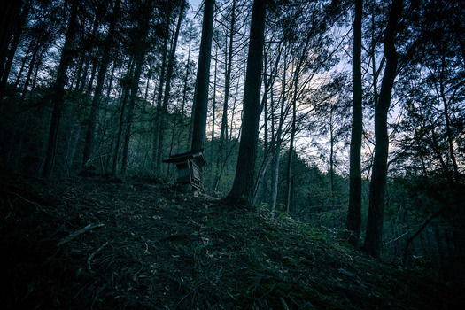 DSC08006-Edit