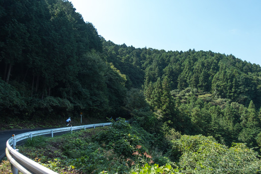 DSC03031