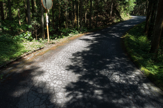 DSC00945