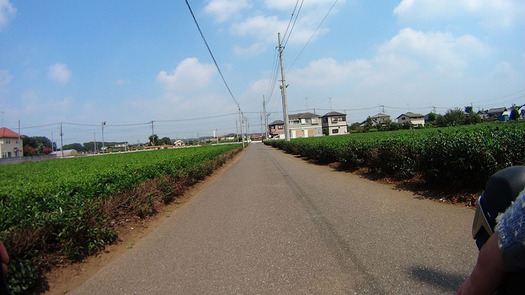 DSC01001