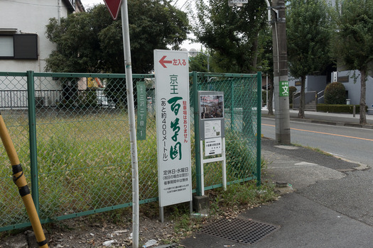 DSC05176