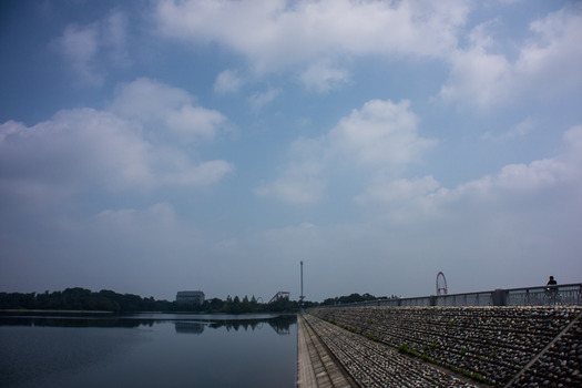 DSC03542