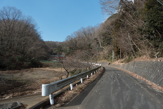 DSC03005