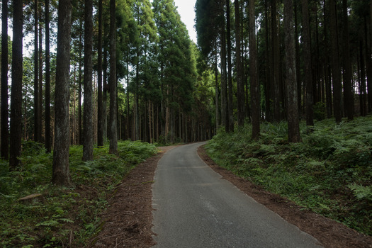 DSC05333