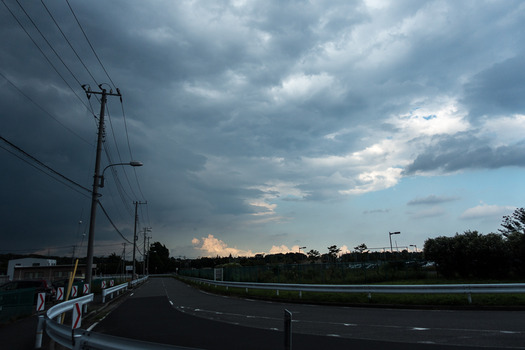DSC08639 (1)