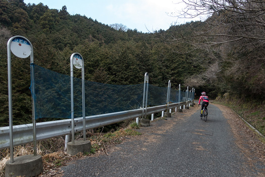 DSC08367 (1)