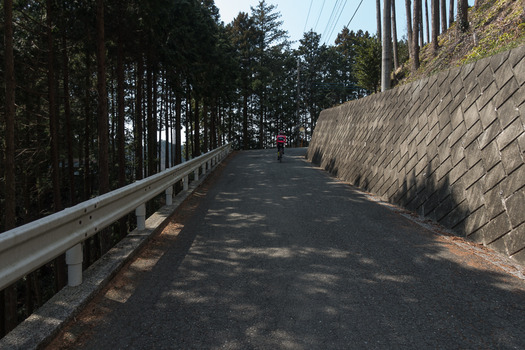 DSC08418 (1)