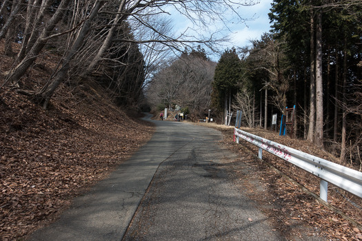 DSC08511