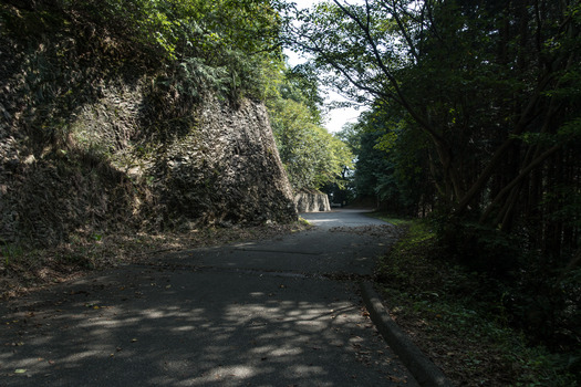 DSC03020