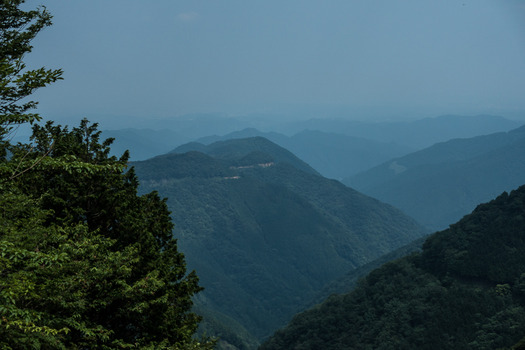 DSC03378