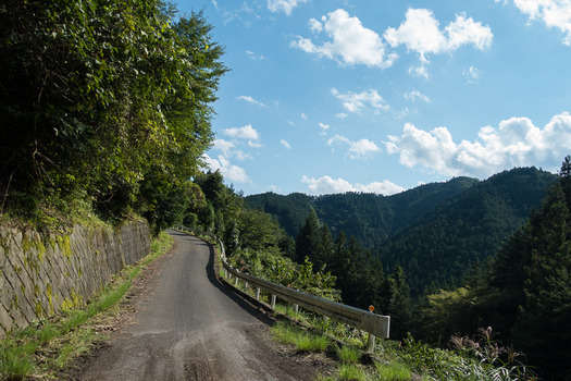 DSC03948
