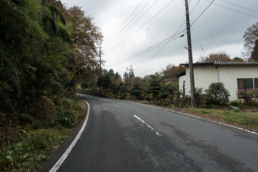 DSC09773