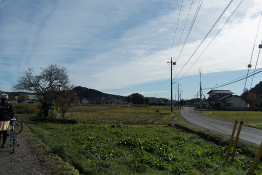DSC08031