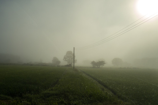 DSC00746