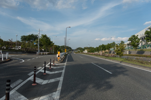DSC07218