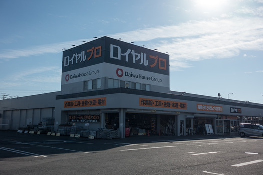 DSC07935