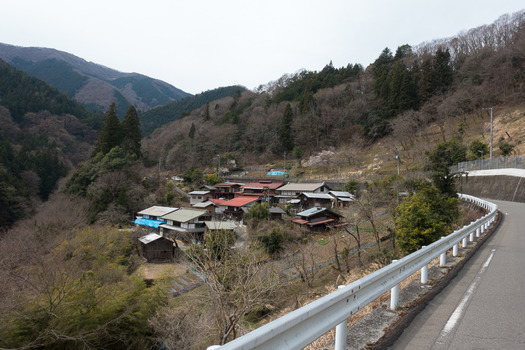 DSC09515