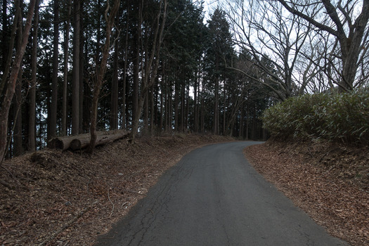 DSC08520