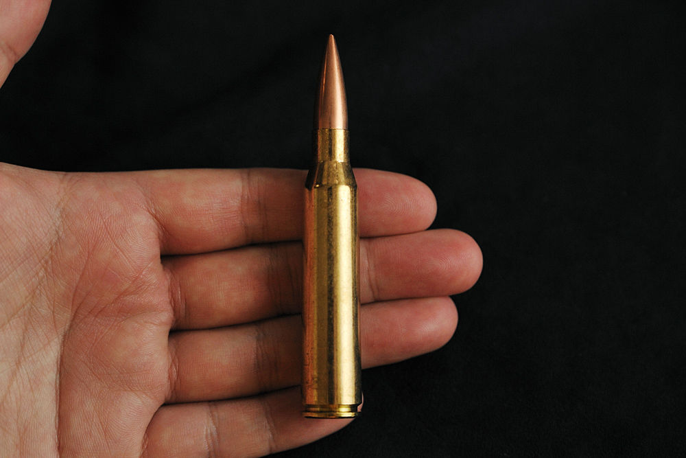 しおいんですけど Avaの銃器と そこから出る弾丸の バランスの良い話
