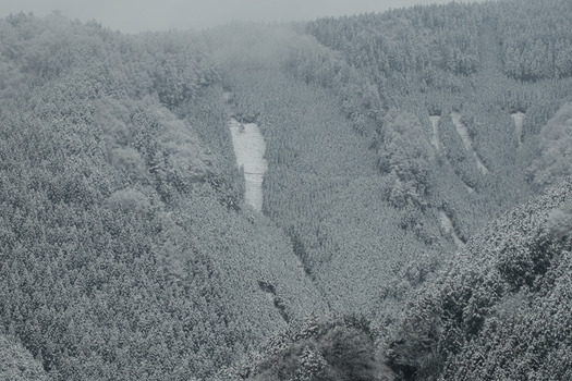 DSC02159