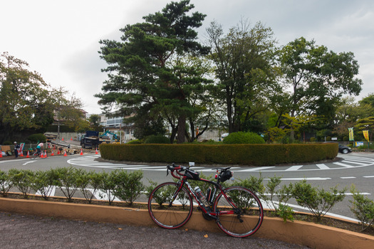 DSC05150