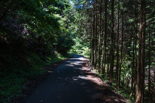 DSC01004