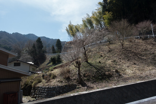 DSC09601