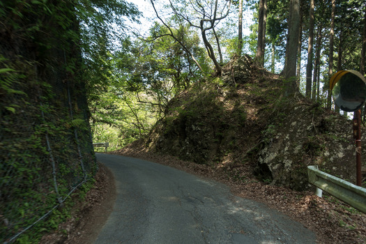 DSC07126