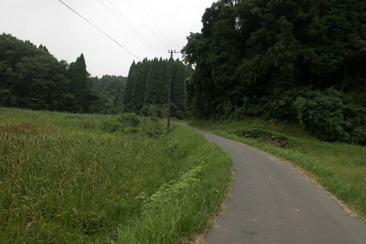 DSC05121