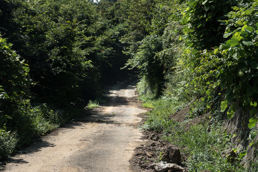 DSC09739