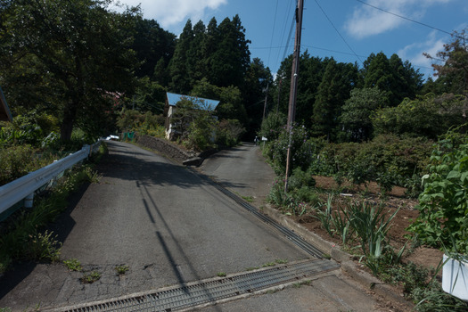 DSC09780