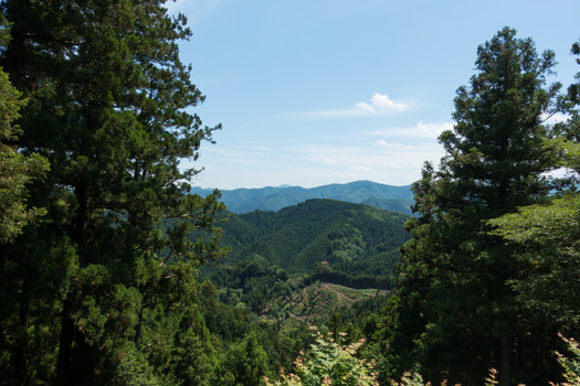 DSC01132