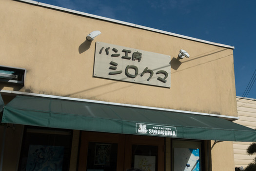 DSC08033