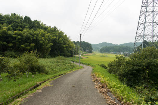 DSC05007