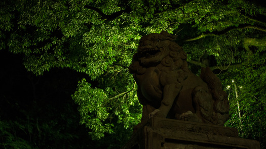 DSC03191