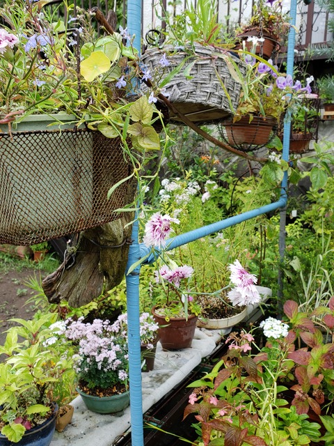 20200701_091159 (002)